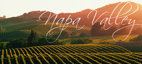 Napa Adventures
