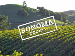 Sonoma Adventures